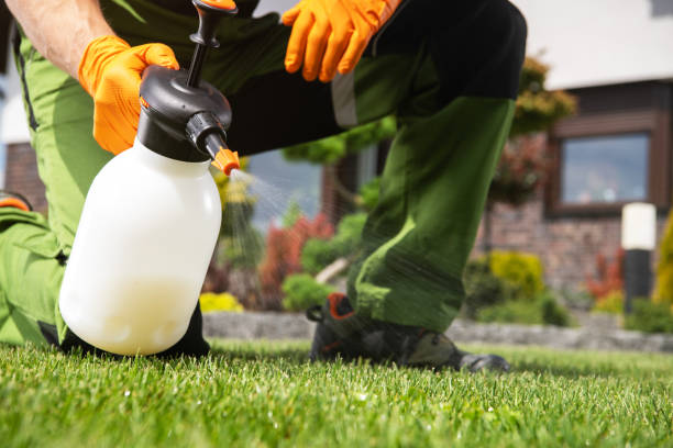 Best Pest Removal Services  in Valley City, ND