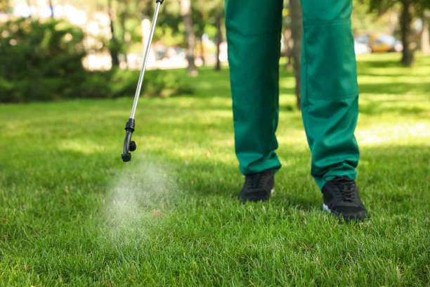 Best Pest Prevention Services  in Valley City, ND