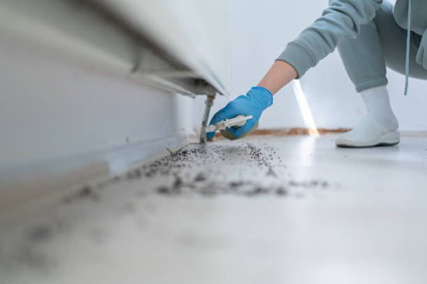Best Exterminator Services  in Valley City, ND